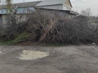 У селищі на Волині масово складають гілля на сміттєвих майданчиках