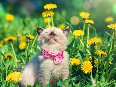 Яку погоду слід очікувати цього тижня