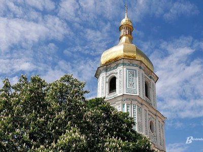 У Києві презентують унікальну інсталяцію з квітів