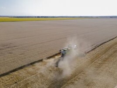 Аграрії на Харківщині під час війни понесли більше ніж 37 млрд грн збитків через втрати ґрунтів