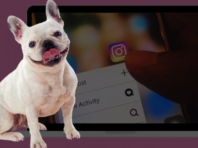 15 функцій Instagram, про які ви могли не знати