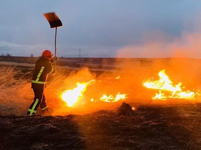 Поліцейські складають протоколи на паліїв трави