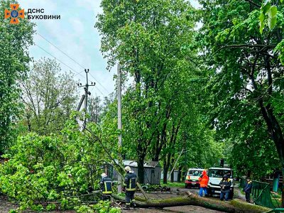У Чернівцях рятувальники надали допомогу у розпилюванні поваленого дерева