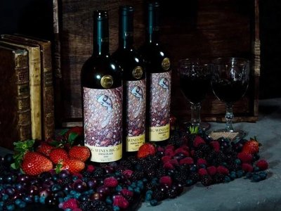 Aргентинські інвестори закладуть виноградник та вироблятимуть вино на Одещині