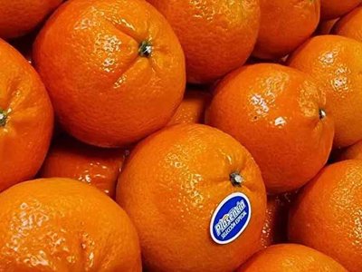 Як використовувати мандаринові кірки в домашній косметології: хитрощі, про які багато хто не чув