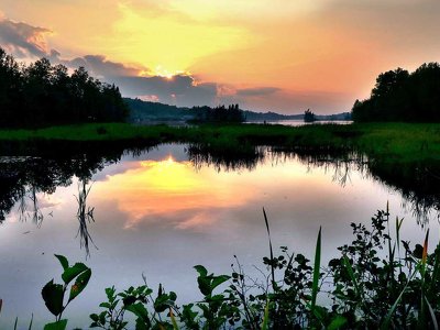 Без аномальної спеки і з дощами: синоптик розповіла, яким буде цьогорічне літо