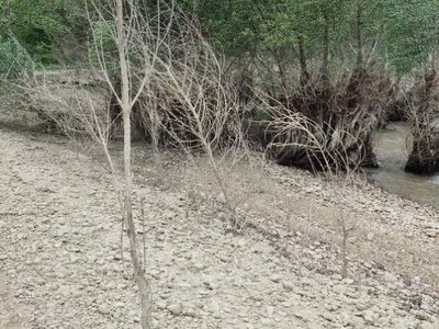 У Криму наближається водна криза: рівень водосховища впав на два метри