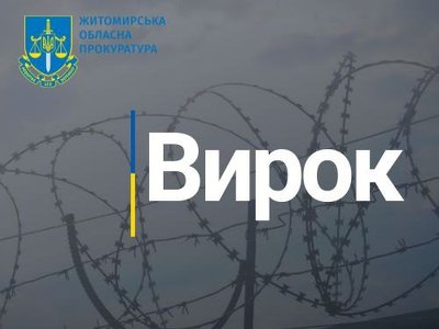 Житель Звягеля отримав 9 років за вбивство приятеля