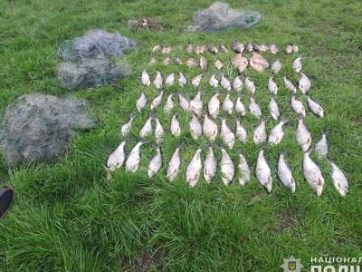Сітками з човна наловив 74 рибини під час нересту: на Чернігівщині виявили браконьєра