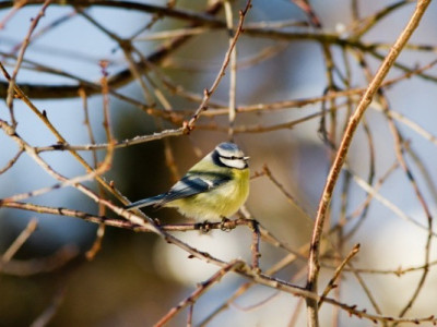 Прогноз погоди в Україні на тиждень