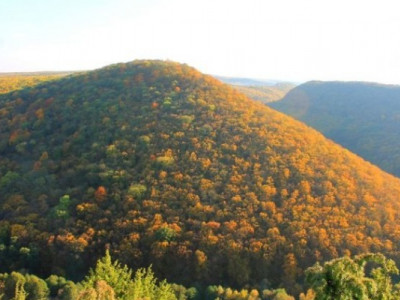 Трагічна історія невідомого городища на Хмельниччині, яке загинуло в один день