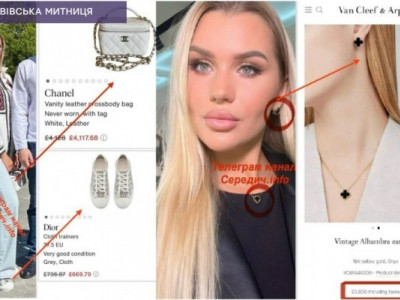 Головна інспекторка юридичного відділу Львівської митниці вирішила показати свої  «статки»