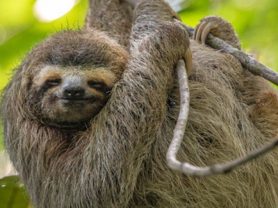 Що таке прокрастинація і як з нею боротися