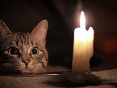 Відключення електроенергії: хто сьогодні ввечері буде без світла