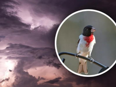 На Україну насувається шторм: які регіони будуть в полоні потужної негоди