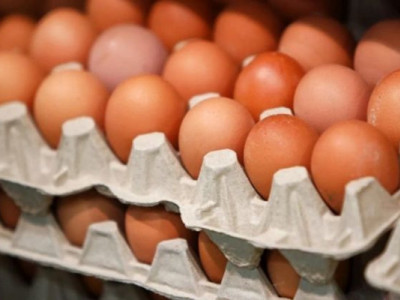Канада відкрила ринок для експорту української яєчної продукції