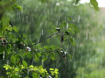 Прогноз погоди на вихідні 15–16 червня: сильні дощі з грозами майже по всій Україні