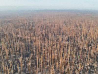 Успіх любить тишу: Азов підтвердив просування у Серебрянському лісі – подробиці