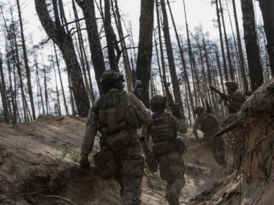 Успіх любить тишу. В Азові розповіли про ситуацію в Серебрянському лісництві