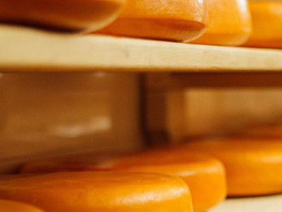 Україна намагається збільшити експорт сиру