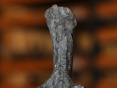 У Новій Зеландії виявили морського монстра, який жив задовго до динозаврів