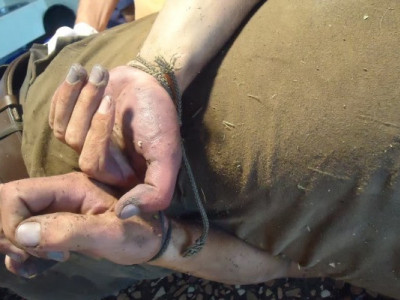 ООН розкриває правду про катування українських полонених