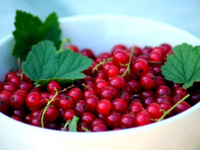 Червона смородина на дієті: калорійність ягоди та користь для схуднення
