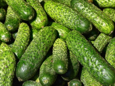 Ціни на огірки різко обвалилися: скільки коштує овоч в Україні
