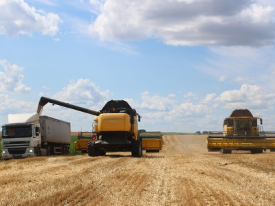 Українські аграрії вже намолотили понад 9 мільйонів тонн зерна нового урожаю