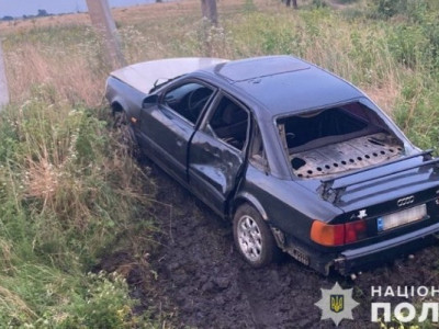 Водій на смерть збив пенсіонерку, яка переводила корову через дорогу