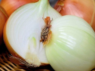 Чудодійні властивості цибулі, про які ви не здогадувались