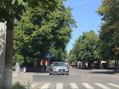 У Кременчуці правоохоронці покарали водія за незаконну парковку