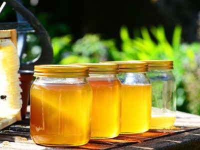 З Одеської області до США за півтора місяця експортували майже 250 тонн меду