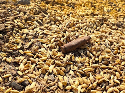 Скільки часу потрібно, щоб вийти на показники врожайності, які були на Херсонщині до повномасштабного вторгнення