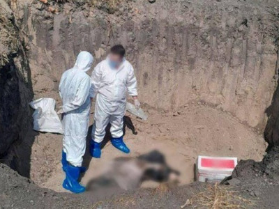 Небезпечна хвороба прийшла в Україну