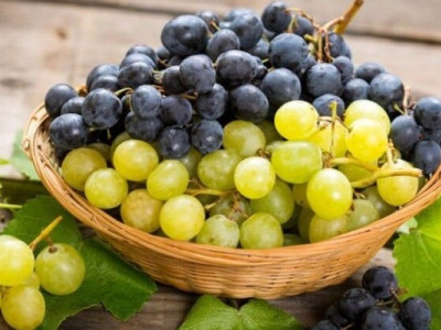Дієтолог розповіла, які продукти не поєднуються з виноградом