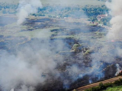 Велика пожежа у заповіднику на Одещині завдала збитків на 12 мільярдів