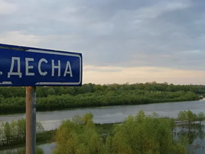 У Десні на Чернігівщині потемніла вода, фіксують масовий замор риби