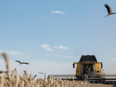 70% української аграрної продукції йде на експорт — Мінагро