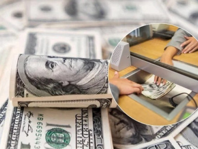 Чи злетить курс долара до 2025 року: українцям дали прогноз