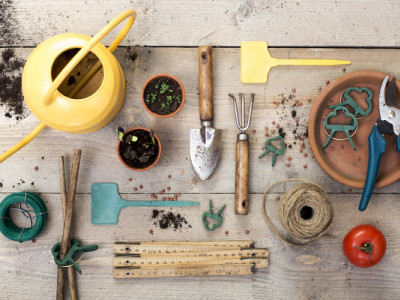 Роботи в жовтні на городі, в саду і квітнику