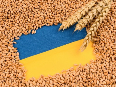 Україна продала на зовнішні ринки 5,38 млн тонн пшениці