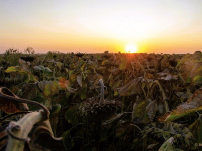 «Епос фактів», або Вкотре про наболіле