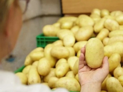 Запаси на зиму. Які ціни на картоплю в Україні та чи відрізняється вартість від регіону