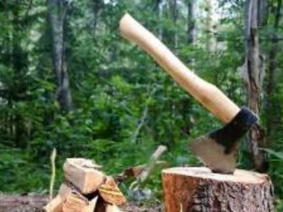 В Україні посилили відповідальність за незаконне вирубування та обіг деревини