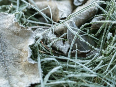 В Україні на вихідні прогнозують заморозки