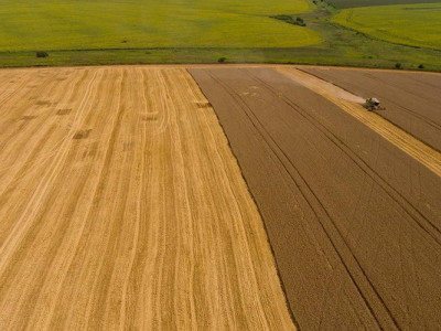 На полях бракує рук: як повномасштабна війна «висушує» агробізнес на Вінниччині