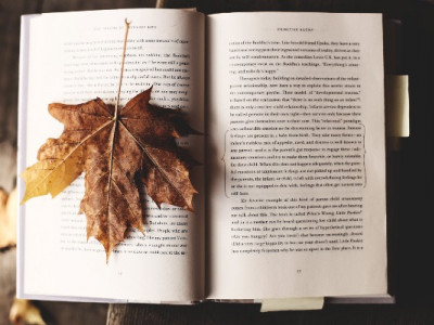 Що почитати восени - 5 нових книг, які вас захоплять