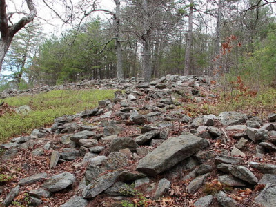 Міфічні люди з місячними очима Форт-Маунтін: таємниця Аппалачів