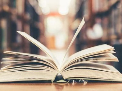 Популяризація читання книг на прикладі Овруцької громади